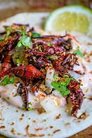 Image result for Pork Belly and Crickets Tacos