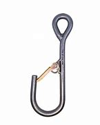 Image result for Screw Hook with Latch