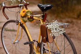 Image result for Bicycle Clothing Gift