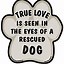 Image result for Support Animal Rescue Meme