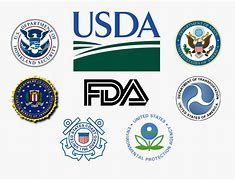 Image result for Us Federal Government Logo