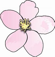 Image result for Apple Flower Cartoon