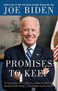 Image result for Politicians Promises
