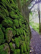 Image result for Moss Rock Wall