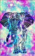 Image result for Cool Elephant
