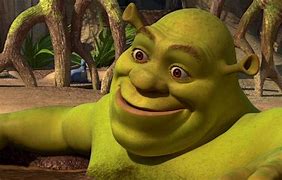 Image result for Shrek Making Out
