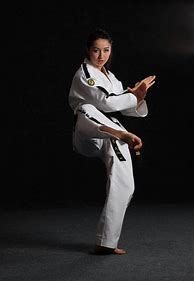 Image result for Women Martial Arts Workout
