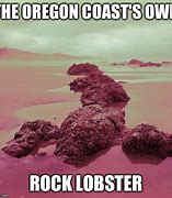 Image result for Oregon Coast Meme