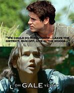 Image result for Hunger Games Katniss Meme