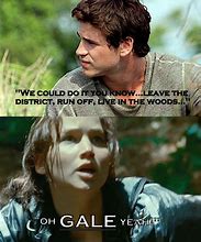 Image result for Hunger Games Memes Gale