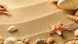 Image result for Shell and Sand Wallpaper