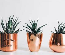 Image result for Rose Gold Aesthetic Background Laptop