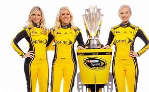 Image result for NASCAR Sprint Logo