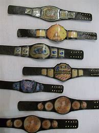 Image result for WWE Belts Custom