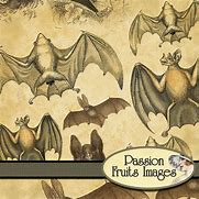 Image result for Vintage Bats Border