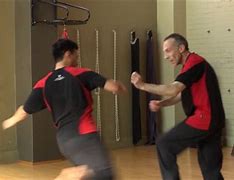 Image result for Internal Styles of Martial Arts