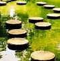 Image result for Stepping Stones 75X30cm