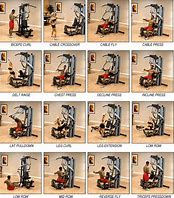 Image result for Bowflex Home Gym Workout Routines