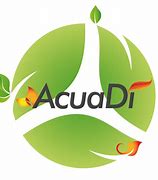 Image result for acuidac