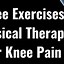 Image result for Physical Therapy Knee Exercises