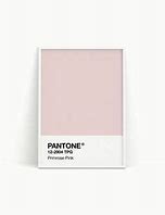 Image result for Pantone Blush