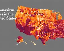 Image result for New York State Virus Cases