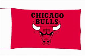 Image result for Chicago Red Bulls Banner