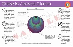 Image result for 4 Cm Dilated Cervix