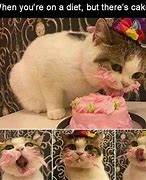 Image result for Cake and Cat Memes Clean