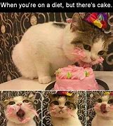Image result for Cat Eating Cake Meme