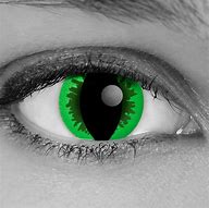 Image result for Green Reptile Contact Lenses