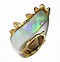 Image result for Polished Opal