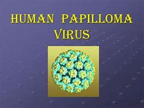 Image result for Human Papillomavirus Pictures Brochure
