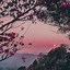 Image result for Aesthetic iPhone Wallpapers Tumblr