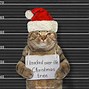 Image result for Look at That Cat Meme