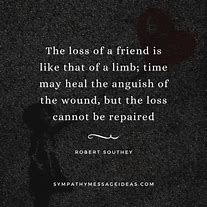 Image result for Lost My Best Friend