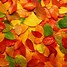 Image result for Late Fall Desktop Backgrounds