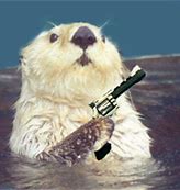 Image result for Otter Gun