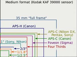 Image result for Cell Phone Camera Sensor Size