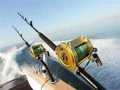 Image result for Troll Fishing