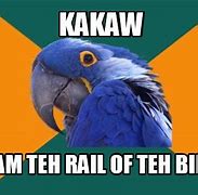 Image result for Kiwi Bird Meme