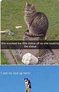 Image result for Best Cat Memes