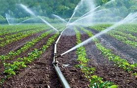 Image result for Save Water and Support Farmers