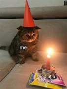 Image result for Celebrating Cat Meme