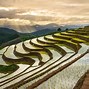 Image result for Chiang Mai Thailand Rice Paddies