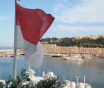 Image result for Monaco Flag