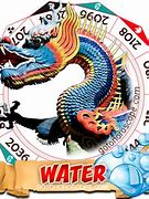 Image result for Chinese Zodiac Water Dragon