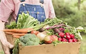 Image result for What Is Organic Food Market in India