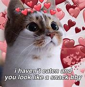 Image result for I Love You Kitten Meme