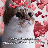 Image result for Cat Saying I Love You Meme